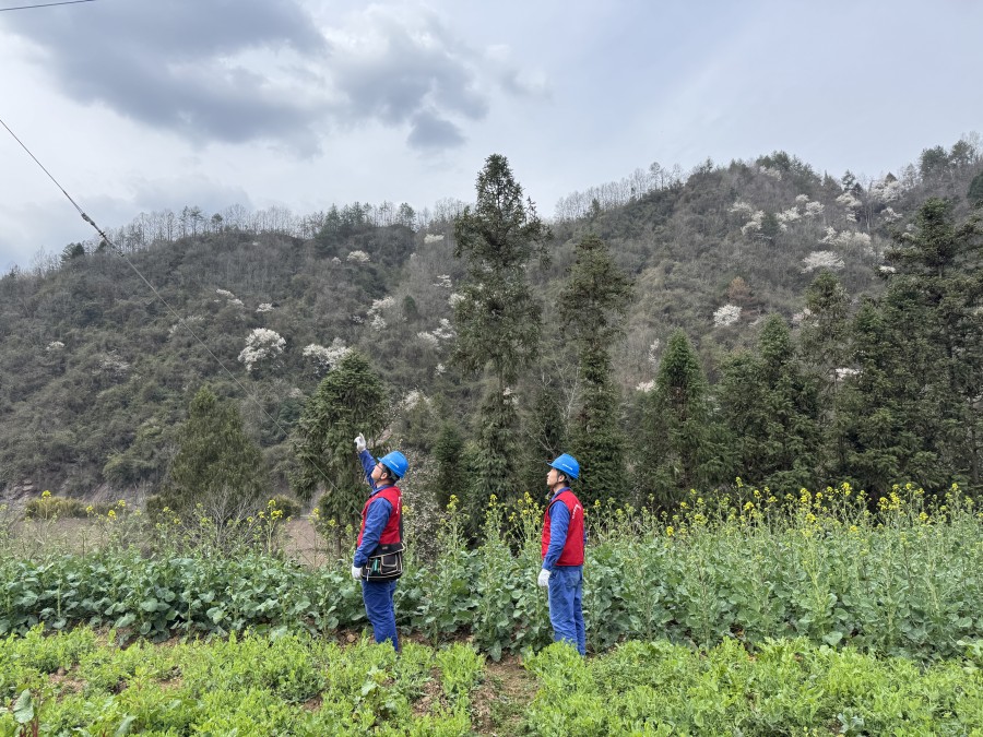 圖五為：巡查線路隱患
